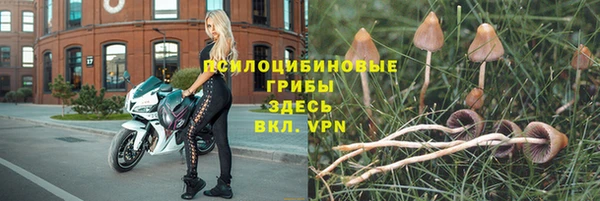 дмт Покачи