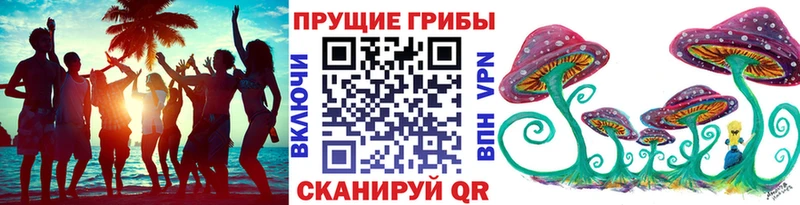 купить  цена  Заволжск  дарк нет телеграм  Галлюциногенные грибы MAGIC MUSHROOMS 
